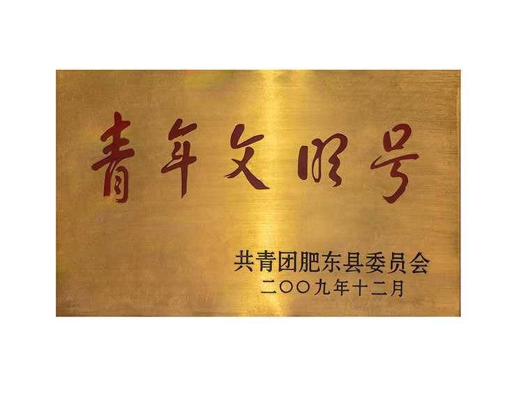 肥東青年文明號(hào)