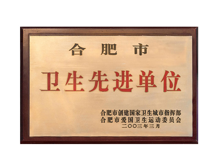 合肥市衛(wèi)生先進單位